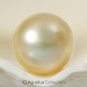 SOUTH SEA PEARL Golden 10.17 mm Off-Round Indonesia 1.48 g un-drilled