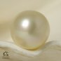 Round Gold SOUTH SEA PEARL 11.34mm Raja Ampat Islands Indonesia 2.05g half-drill