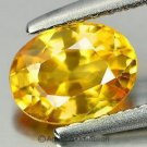 0.53 cts Golden Yellow SAPPHIRE Oval Facet-cut Natural Gemstone Sri Lanka Ceylon