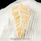 Apricot CONCH SHELL Carving Tree Fern Leaf PENDANT 2.91 g Hand-carved