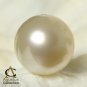 SOUTH SEA PEARL AAA Round Cream White RAJA AMPAT 12.6 mm Half-drilled 2.91 g