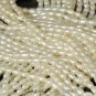FRESHWATER PEARLS 16.1 inch Strand 4.9 mm Lustrous Cream White OVAL China 6.5 g