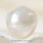 SOUTH SEA PEARL Cream 11.92 mm Baroque Indonesia 2.19 g un-drilled