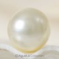 SOUTH SEA PEARL Cream 12.93 mm Off-Round Indonesia 3.12 g un-drilled