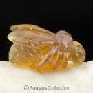 Genuine Natural Borneo AMBER Bee Insect Art Carving Genuine Gemstone 2.75 ct