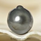 Huge TAHITIAN South Sea PEARL 13.5 mm Charcoal Black Baroque 3.14 g un-drilled