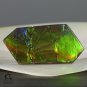 AMMOLITE Ammonite Rare Gem Stone from Canada  24 ct / 36.10 x 17.47 x 4.07 mm