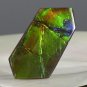 AMMOLITE Ammonite Rare Gem Stone from Canada  24 ct / 36.10 x 17.47 x 4.07 mm