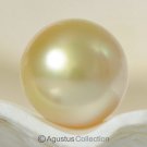 SOUTH SEA PEARL Golden 10.36 mm Round Indonesia 1.59 g un-drilled