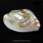 RAINBOW Iridescent KASUMI PEARL Japan Kasumiga 13.18 mm