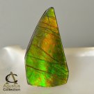 13 cts AMMOLITE Ammonite Rare AAA+ Gemstone Canada 28.44 x 15.13 x 3.27 mm