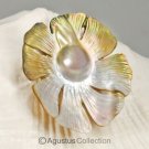 MABE Blister PEARL in SHELL Lustrous Rainbow Iridescent Carving Sumbawa 12.57 g