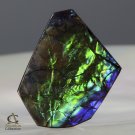 AMMOLITE Ammonite Rare Gem Stone from Canada  15 ct / 25.60 x 18.94 x 3.05 mm