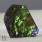 AMMOLITE Ammonite Rare Gem Stone from Canada  15 ct / 25.60 x 18.94 x 3.05 mm
