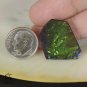 AMMOLITE Ammonite Rare Gem Stone from Canada  15 ct / 25.60 x 18.94 x 3.05 mm