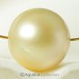 SOUTH SEA PEARL 11.6mm Round Golden Maluku Islands Indonesia 2.16g fully drilled