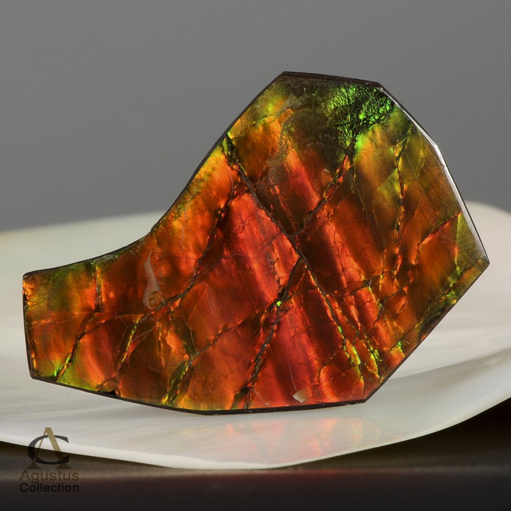 AMMOLITE Ammonite Rare Gem Stone from Canada 38 ct / 41.53 x 27.19 x 3.56 mm