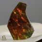 AMMOLITE Ammonite Rare Gem Stone from Canada 38 ct / 41.53 x 27.19 x 3.56 mm