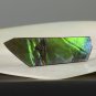 AMMOLITE Ammonite Rare Gem Stone from Canada 17.5 ct / 37.60 x 12.44 x 3.90 mm