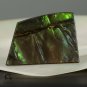 AMMOLITE Ammonite Rare Gem Stone from Canada 25.5 ct / 30.06 x 20.87 x 4.00 mm