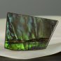 AMMOLITE Ammonite Rare Gem Stone from Canada 25.5 ct / 30.06 x 20.87 x 4.00 mm