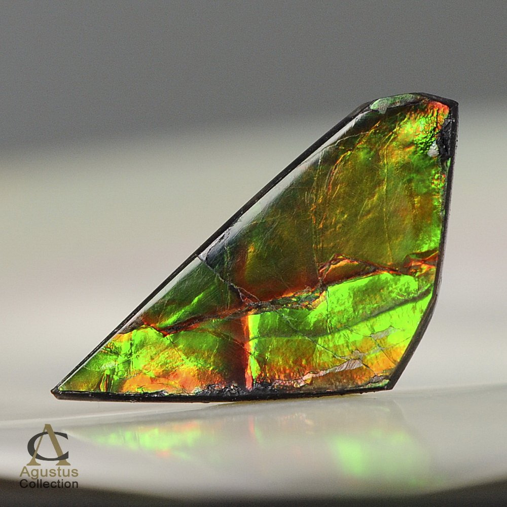 AMMOLITE Ammonite Rare Gem Stone from Canada 5 ct / 24.71 x 11.75 x 2.46 mm