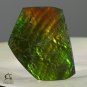 AMMOLITE Ammonite Rare Gem Stone from Canada  40.5 ct / 32.05 x 26.90 x 4.03 mm