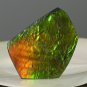 AMMOLITE Ammonite Rare Gem Stone from Canada  40.5 ct / 32.05 x 26.90 x 4.03 mm