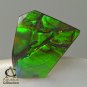 AMMOLITE Ammonite Rare Gem Stone from Canada 19 ct / 22.60 x 22.09 x 3.54 mm