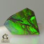 AMMOLITE Ammonite Rare Gem Stone from Canada 19 ct / 22.60 x 22.09 x 3.54 mm