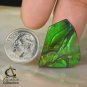 AMMOLITE Ammonite Rare Gem Stone from Canada 19 ct / 22.60 x 22.09 x 3.54 mm