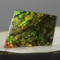 AMMOLITE Ammonite Rare Gem Stone from Canada  34.5 ct / 42.88 x 26.30 x 3.55 mm