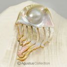 MABE Blister PEARL in SHELL Lustrous Rainbow Iridescent Carving Sumbawa 8.22 g