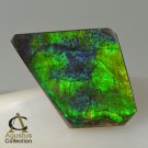 AMMOLITE Ammonite Rare Gem Stone from Canada 20 ct / 30.86 x 19.84 x 3.54 mm