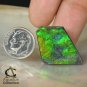 AMMOLITE Ammonite Rare Gem Stone from Canada 20 ct / 30.86 x 19.84 x 3.54 mm