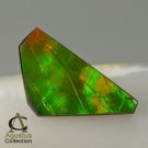 AMMOLITE Ammonite Rare Gem Stone from Canada 10 ct / 23.93 x 12.86 x 3.57 mm