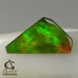 AMMOLITE Ammonite Rare Gem Stone from Canada 10 ct / 23.93 x 12.86 x 3.57 mm