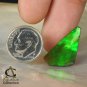 AMMOLITE Ammonite Rare Gem Stone from Canada 10 ct / 23.93 x 12.86 x 3.57 mm