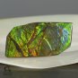 AMMOLITE Ammonite Rare Gem Stone from Canada 16.5 ct / 28.78 x 15.16 x 2.94 mm