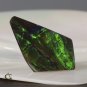 AMMOLITE Ammonite Rare Gem Stone from Canada  9 ct / 24.32 x 13.68 x 3.10 mm
