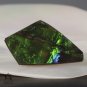 AMMOLITE Ammonite Rare Gem Stone from Canada  9 ct / 24.32 x 13.68 x 3.10 mm