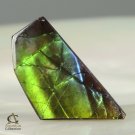 AMMOLITE Ammonite Rare Gem Stone from Canada 6.5 ct / 23.69 x 12.39 x 2.45 mm