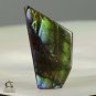 AMMOLITE Ammonite Rare Gem Stone from Canada 6.5 ct / 23.69 x 12.39 x 2.45 mm