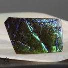 AMMOLITE Ammonite Rare Gem Stone from Canada  17.5 ct / 29.72 x 18.41 x 2.93 mm