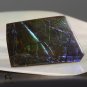 AMMOLITE Ammonite Rare Gem Stone from Canada  17.5 ct / 29.72 x 18.41 x 2.93 mm