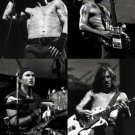 Red Hot Chili Peppers Poster 2