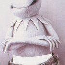 The Muppets - Kermit Clein, Under Where? Poster
