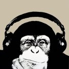 Steez: Monkey Poster