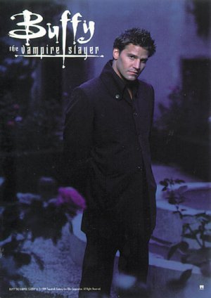 Buffy The Vampire Slayer - David Boreanez Poster