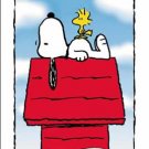 Peanuts 